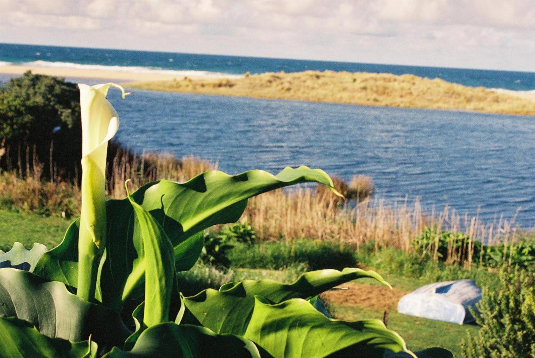 Apollo Bay Guest House Экстерьер фото